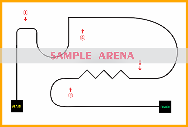Sample Racing Track